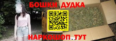 индика Абакан