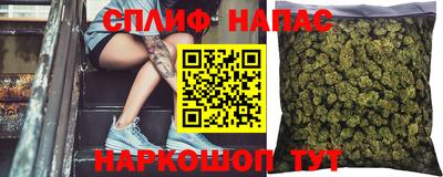 индика Абакан