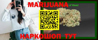 индика Абакан