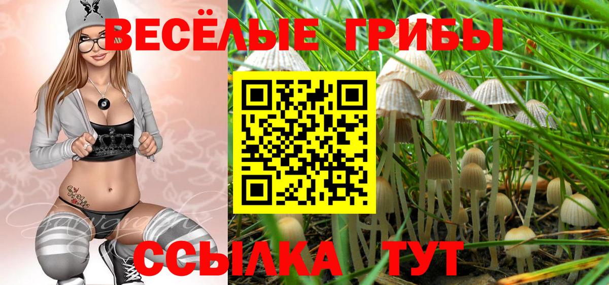 Псилоцибиновые грибы Psilocybine cubensis Анапа